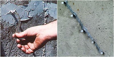 The Strongest Structural Crack Repair